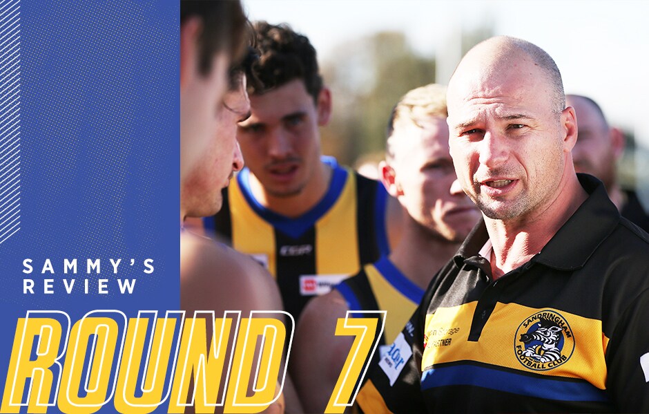Coach Aaron Hamill spoke exclusively to saints.com.au and dissected the performance of every Saint. - St Kilda Saints,VFL,Max King,David Armitage,Hunter Clark,Oscar Clavarino,Nick Coffield,Nick Hind,Darragh Joyce,Doulton Langlands,Ben Long,Billy Longer,Bailey Rice,Sam Rowe,Brandon White
